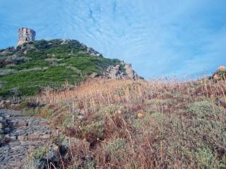 IMG_9569.JPG
