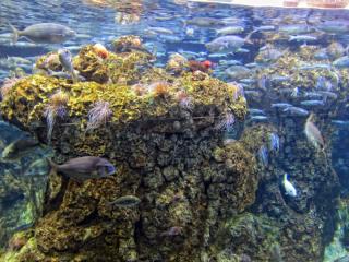 IMG_8449.JPG