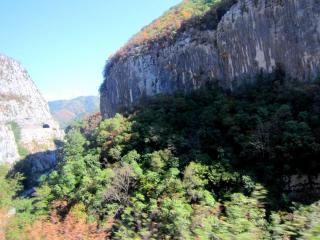 IMG_2568.JPG