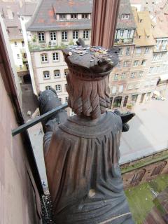IMG_7046.JPG