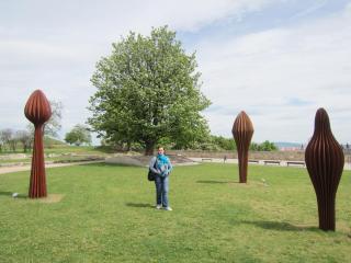 IMG_7150.JPG