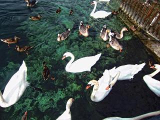 IMG_9020.JPG