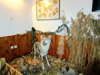IMG_2890.JPG