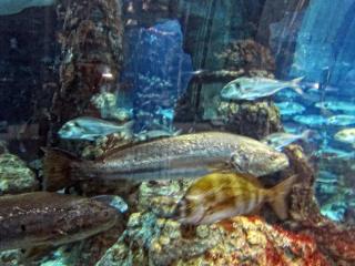 IMG_8482.JPG