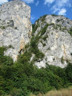 IMG_2672.JPG