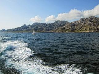 IMG_7354.JPG