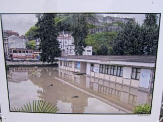 IMG_8330a.jpg