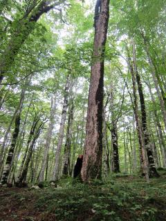 IMG_2624.JPG