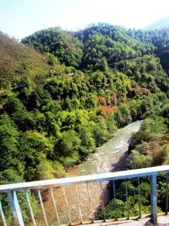 IMG_2573.JPG