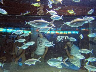 IMG_8444.JPG