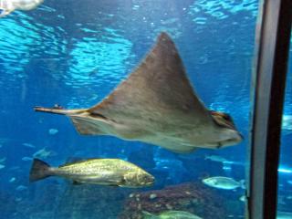 IMG_8469.JPG