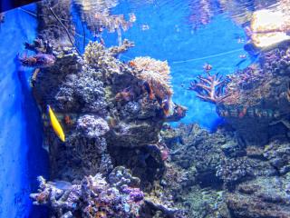 IMG_8456.JPG