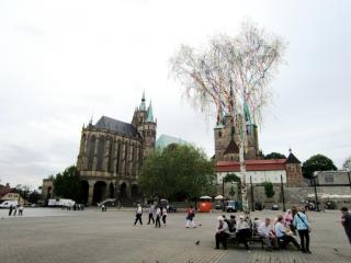 IMG_7184.JPG
