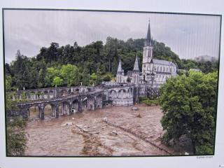 IMG_8325a.jpg