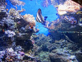 IMG_8457.JPG