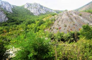 IMG_2700a.JPG