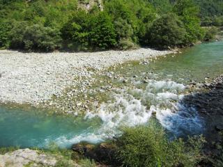 IMG_2654.JPG