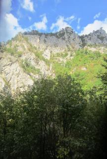 IMG_2698a.JPG