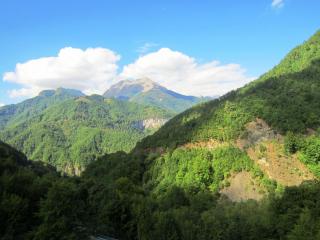IMG_2582.JPG