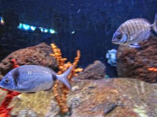 IMG_8479.JPG