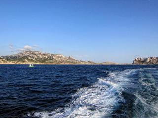 IMG_7459.JPG