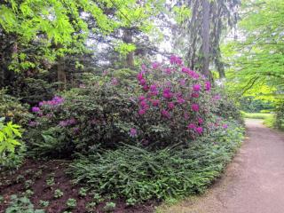 IMG_2522.JPG