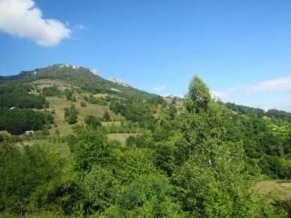 IMG_2661.JPG