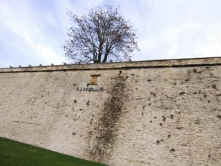 IMG_7132.JPG