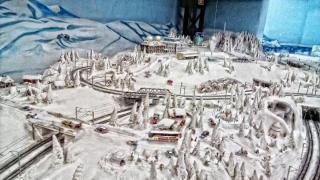 DSC_0126.jpg