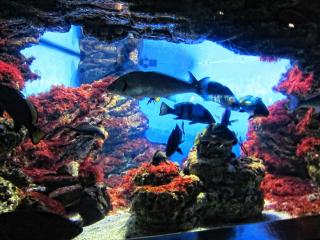 IMG_8440.JPG