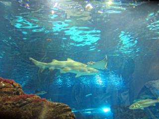 IMG_8464.JPG