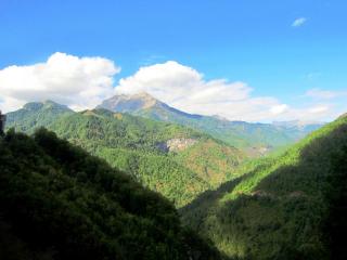IMG_2583.JPG