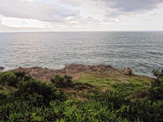 IMG_7966.JPG