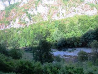 IMG_2685.JPG