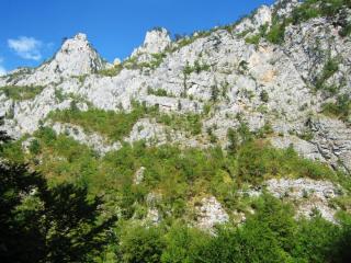 IMG_2678.JPG