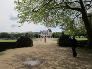 IMG_4831.JPG