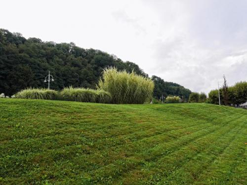 P1150424.JPG