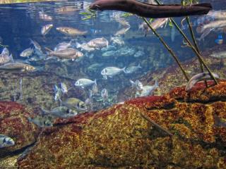 IMG_8439.JPG