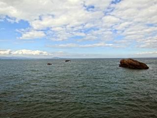 IMG_8153.JPG