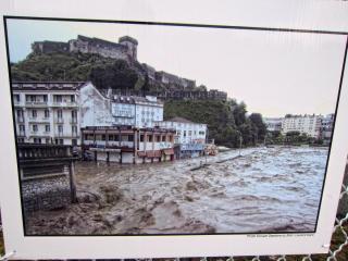 IMG_8331a.jpg