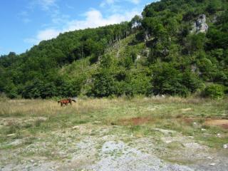 IMG_2655.JPG