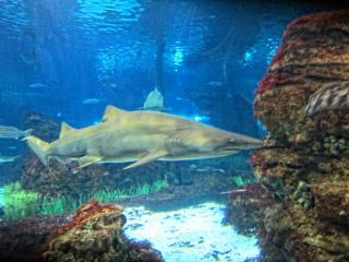 IMG_8466.JPG