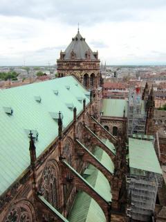 IMG_7011.JPG