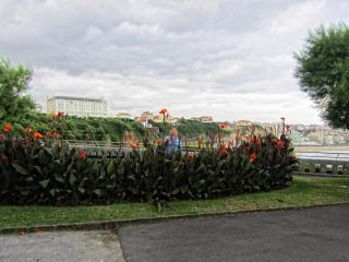 IMG_7979.JPG