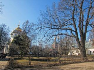 IMG_1235.JPG