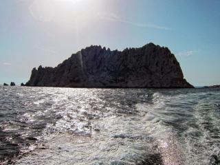 IMG_7347.JPG