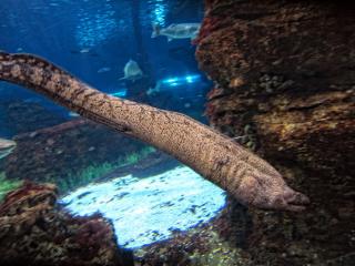 IMG_8465.JPG