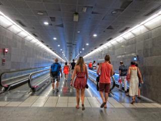 IMG_8421.JPG