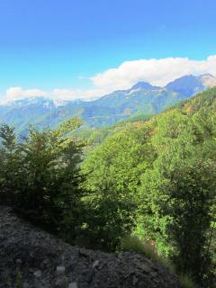 IMG_2594.JPG