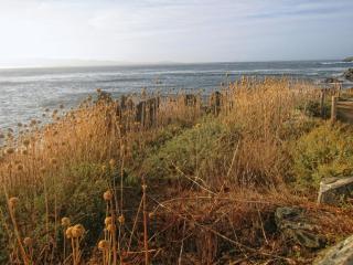 IMG_9556.JPG